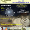 Revista del portal CERO alfa 5